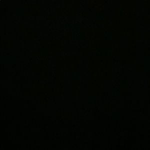 Meet your Posher, Windsor